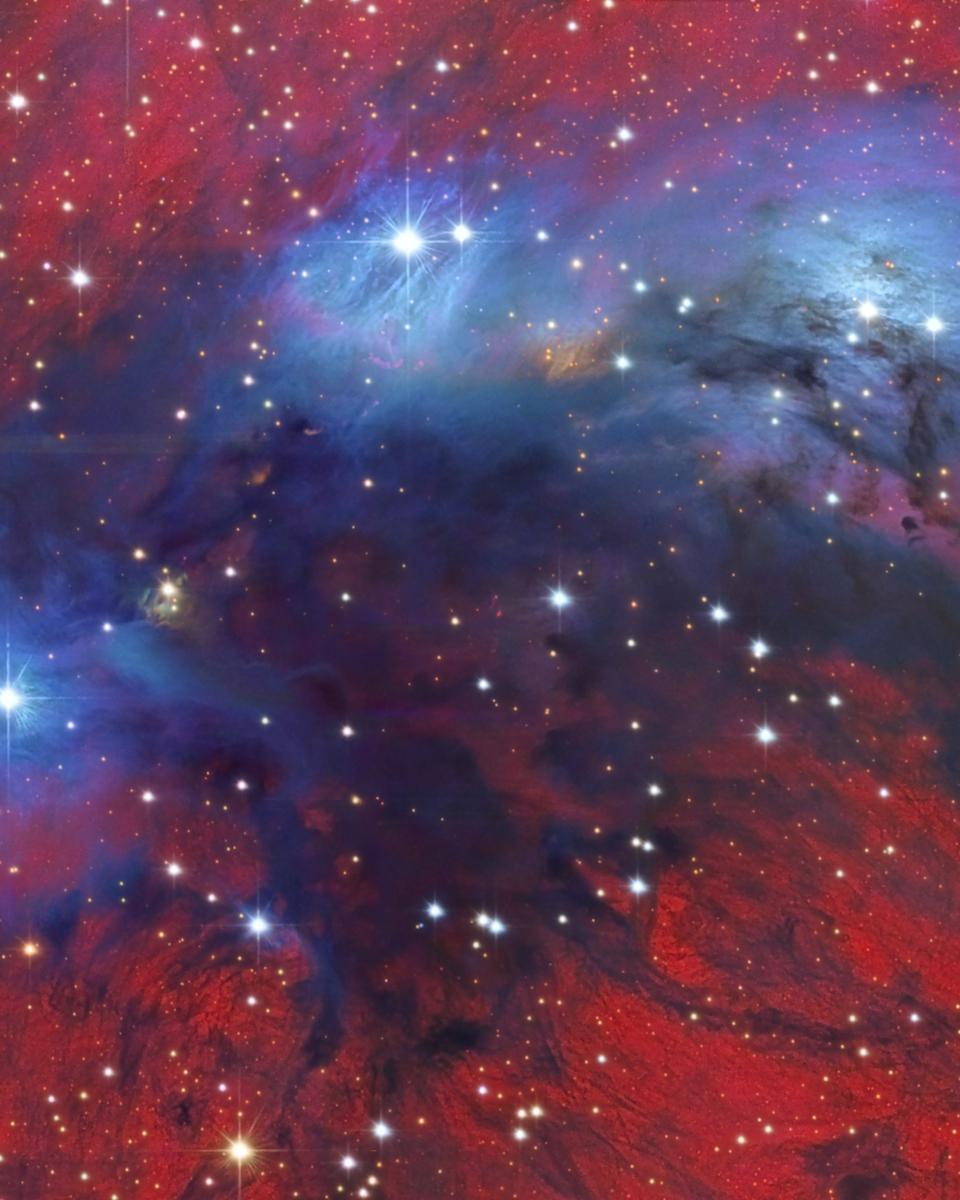 NGC 6914 Nebulae