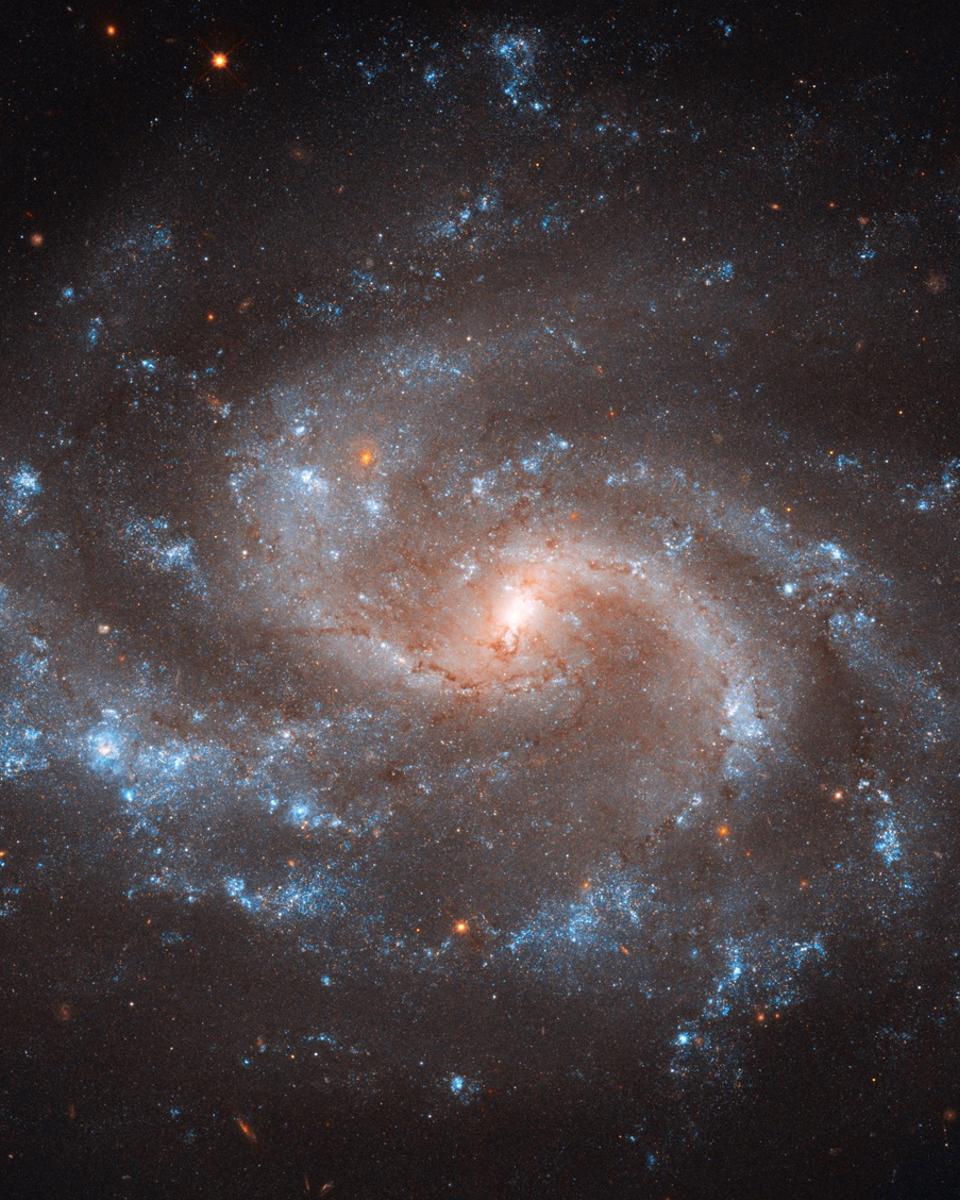 NGC 5584: Expanding the Universe