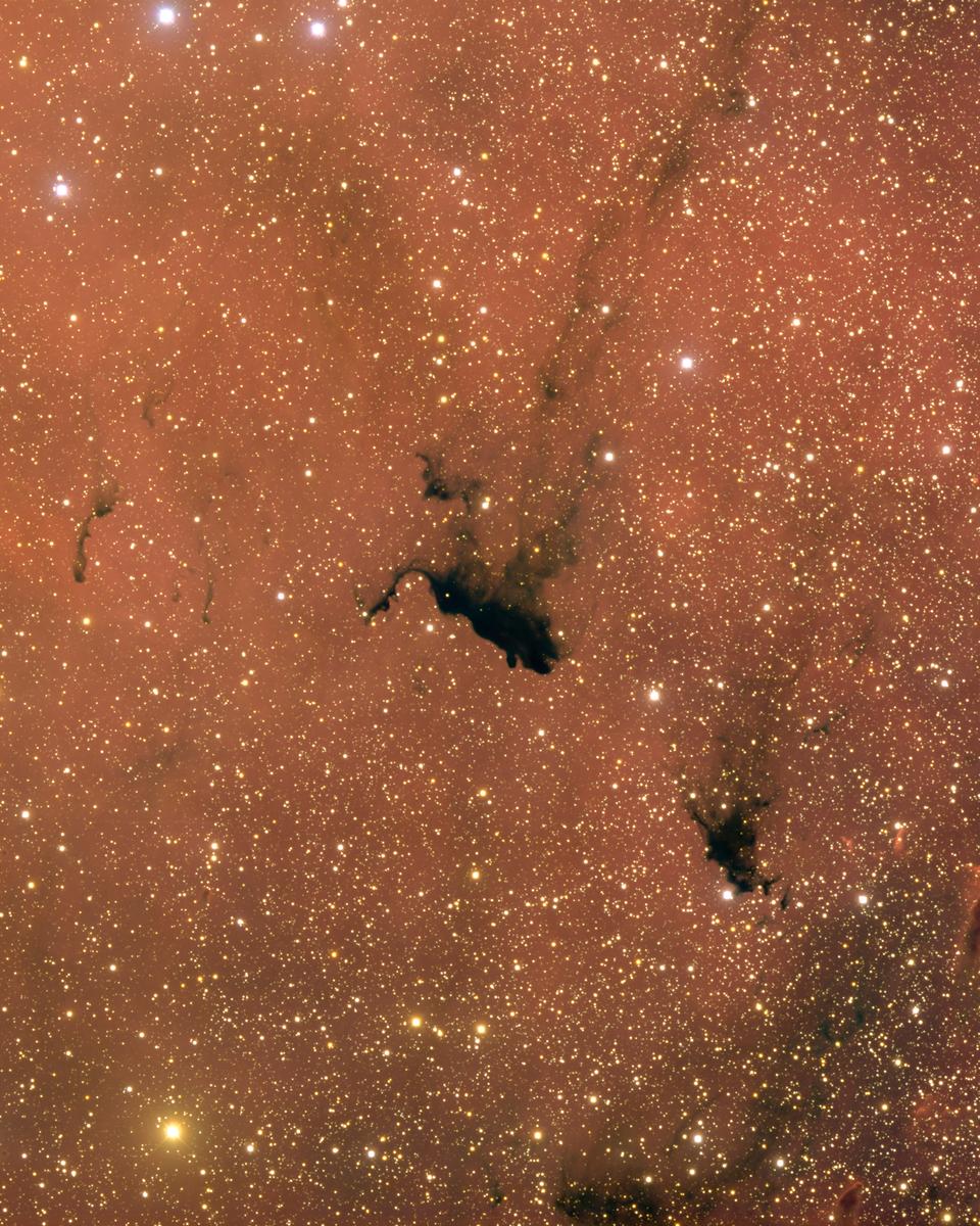 Molecular Cloud Barnard 163