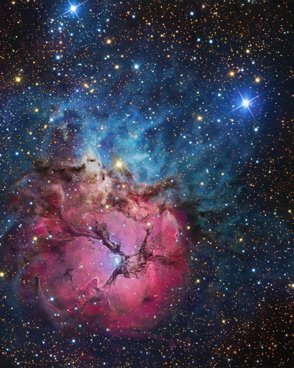 A Beautiful Trifid