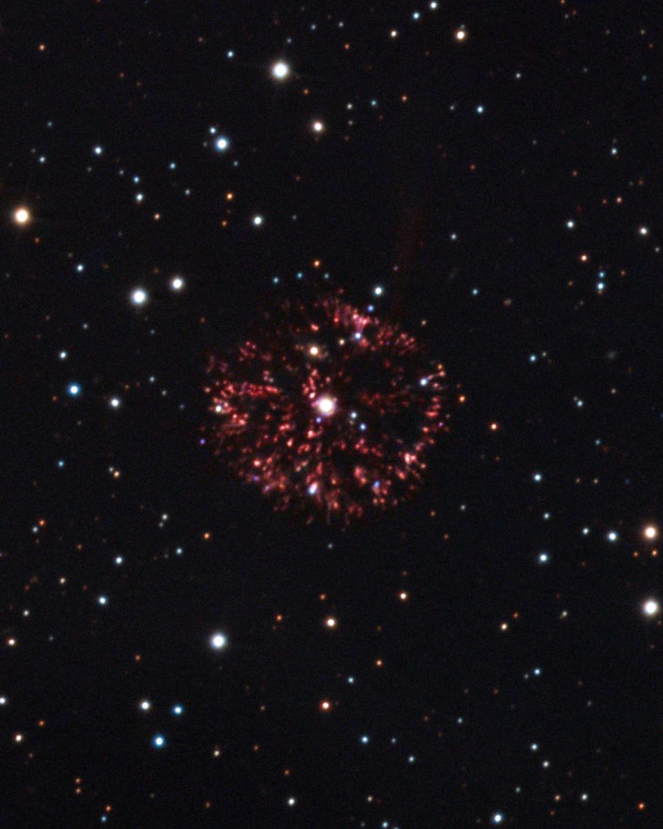 GK Per: Nova of 1901
