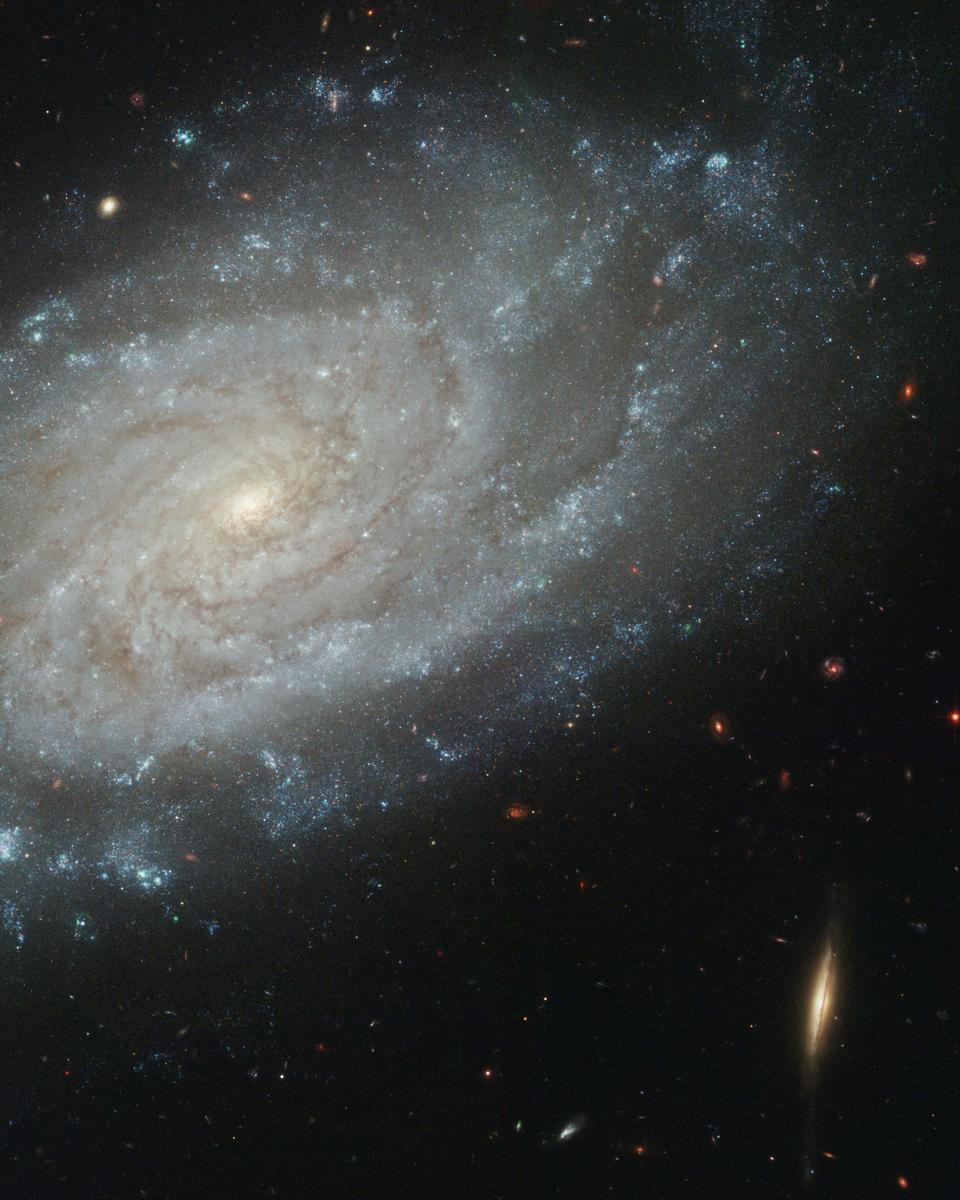 Spiral Galaxy NGC 3370 from Hubble