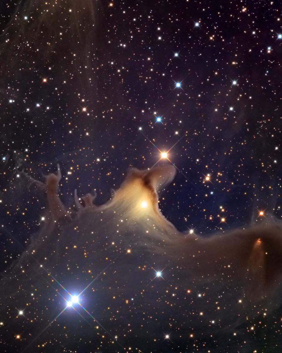 Ghost of the Cepheus Flare