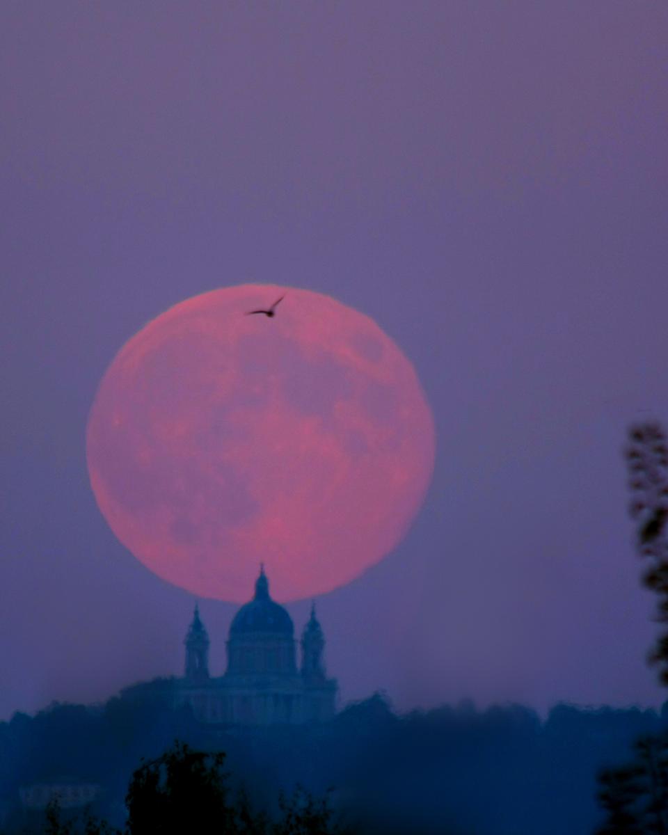 September's Harvest Moon