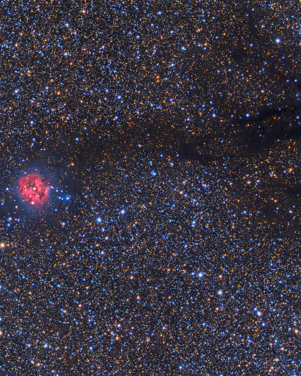 Cocoon Nebula Wide Field