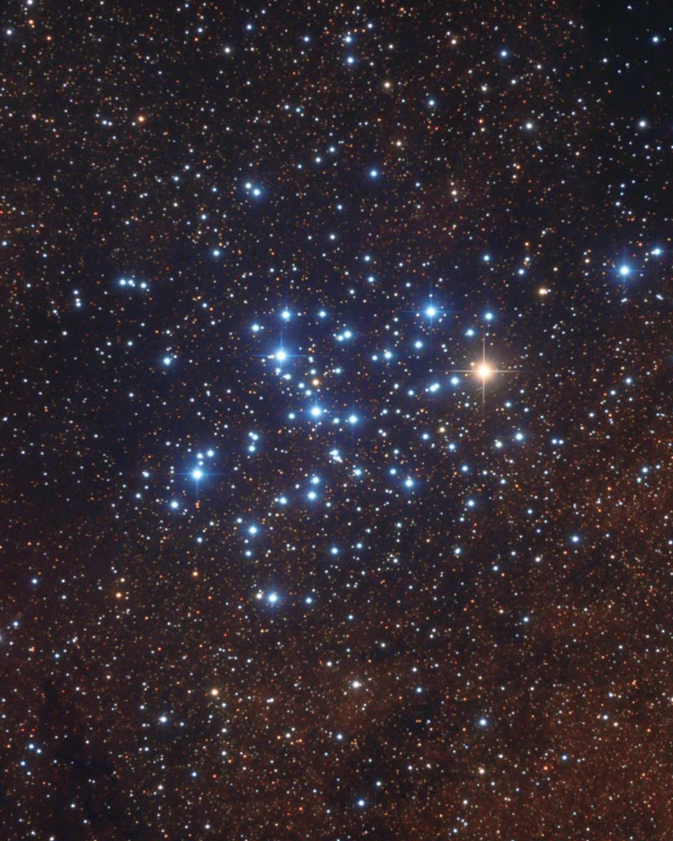 M6: The Butterfly Cluster