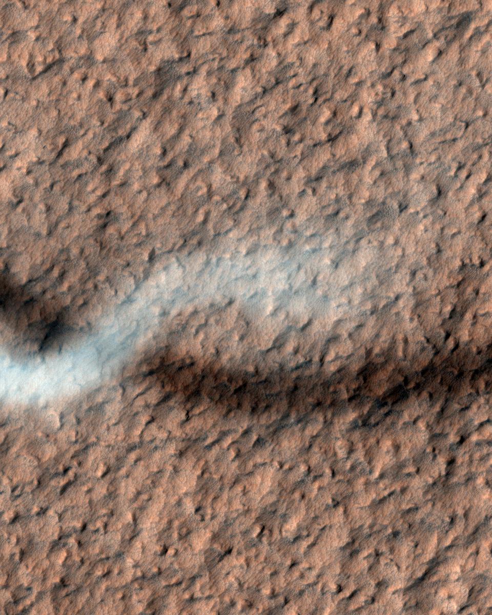 A Dust Devil of Mars
