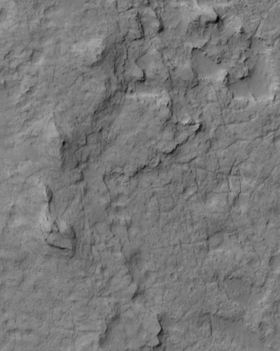 Curiosity Drops In
