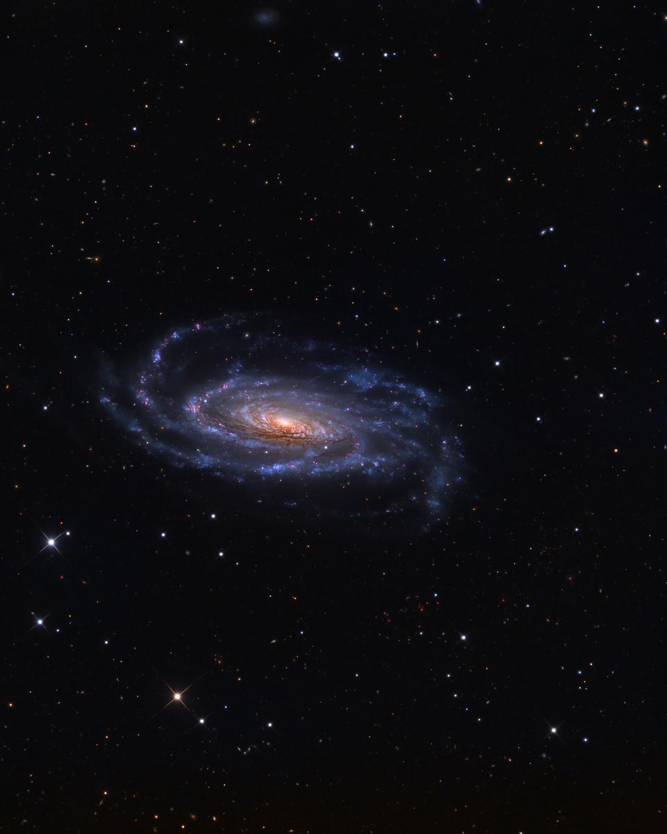 Spiral Galaxy NGC 5033