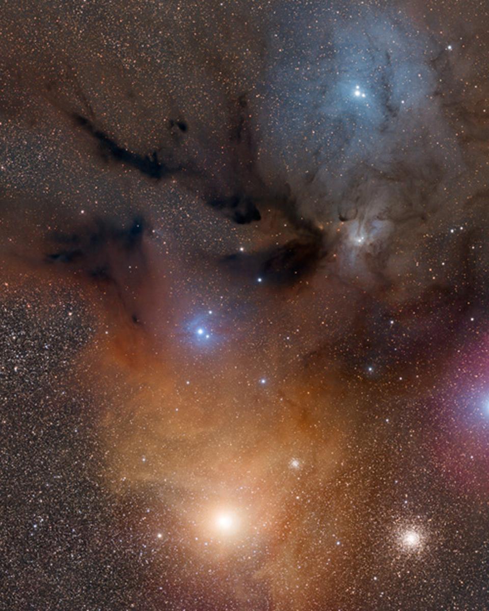 Colorful Clouds Near Rho Ophiuchi