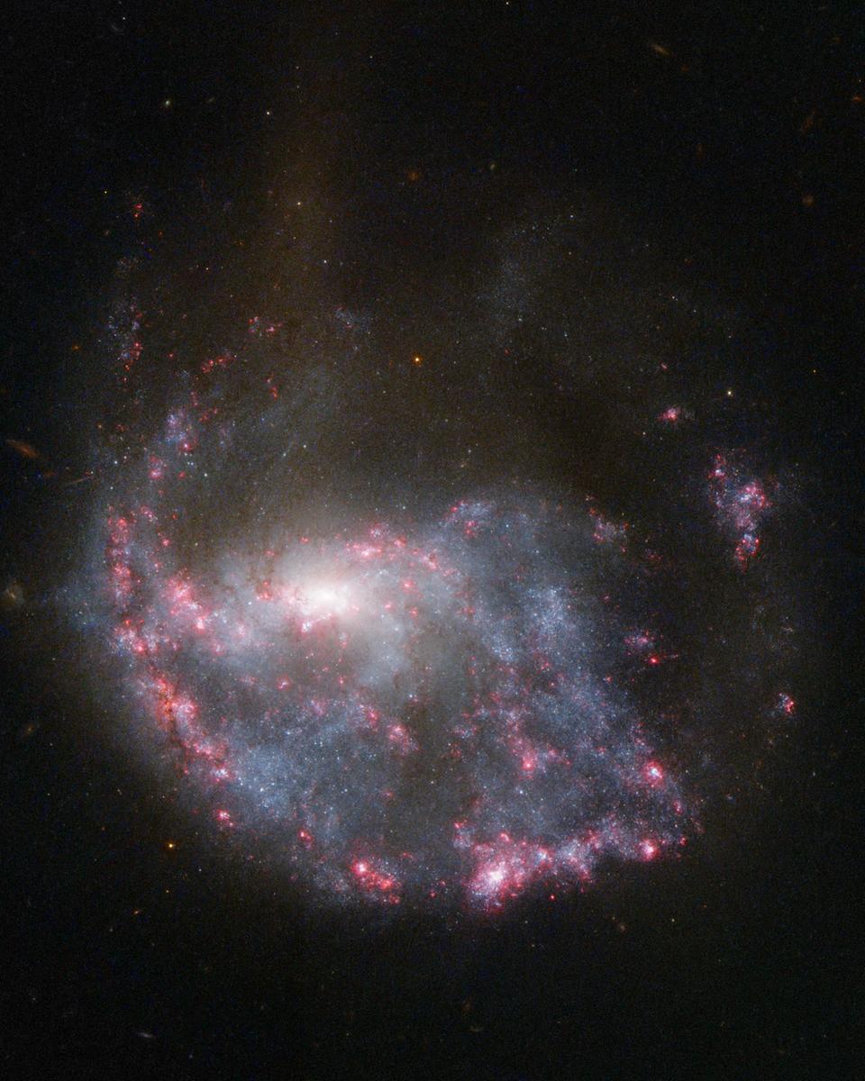 NGC 922: Collisional Ring Galaxy