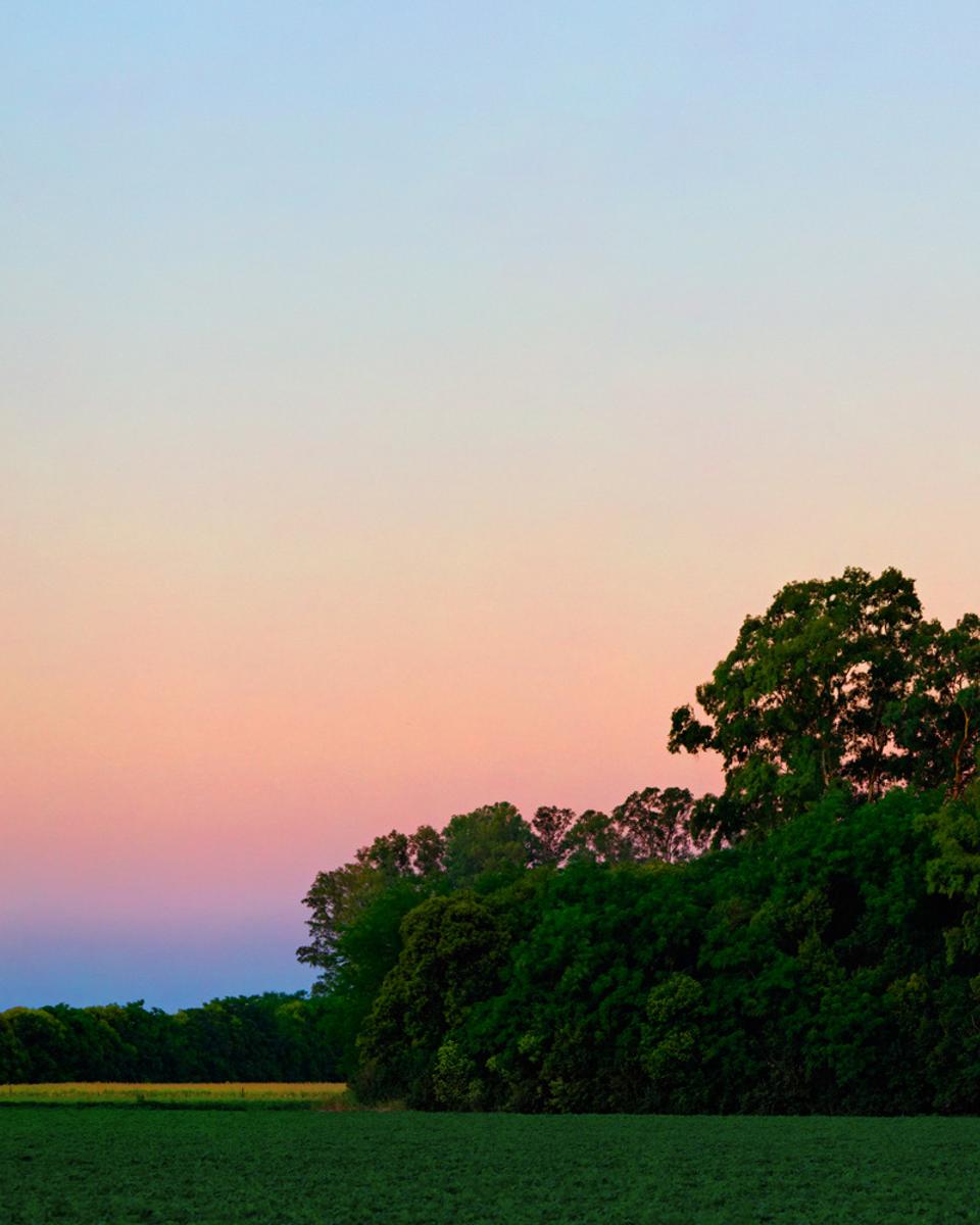 The Belt of Venus Over Mercedes, Argentina
