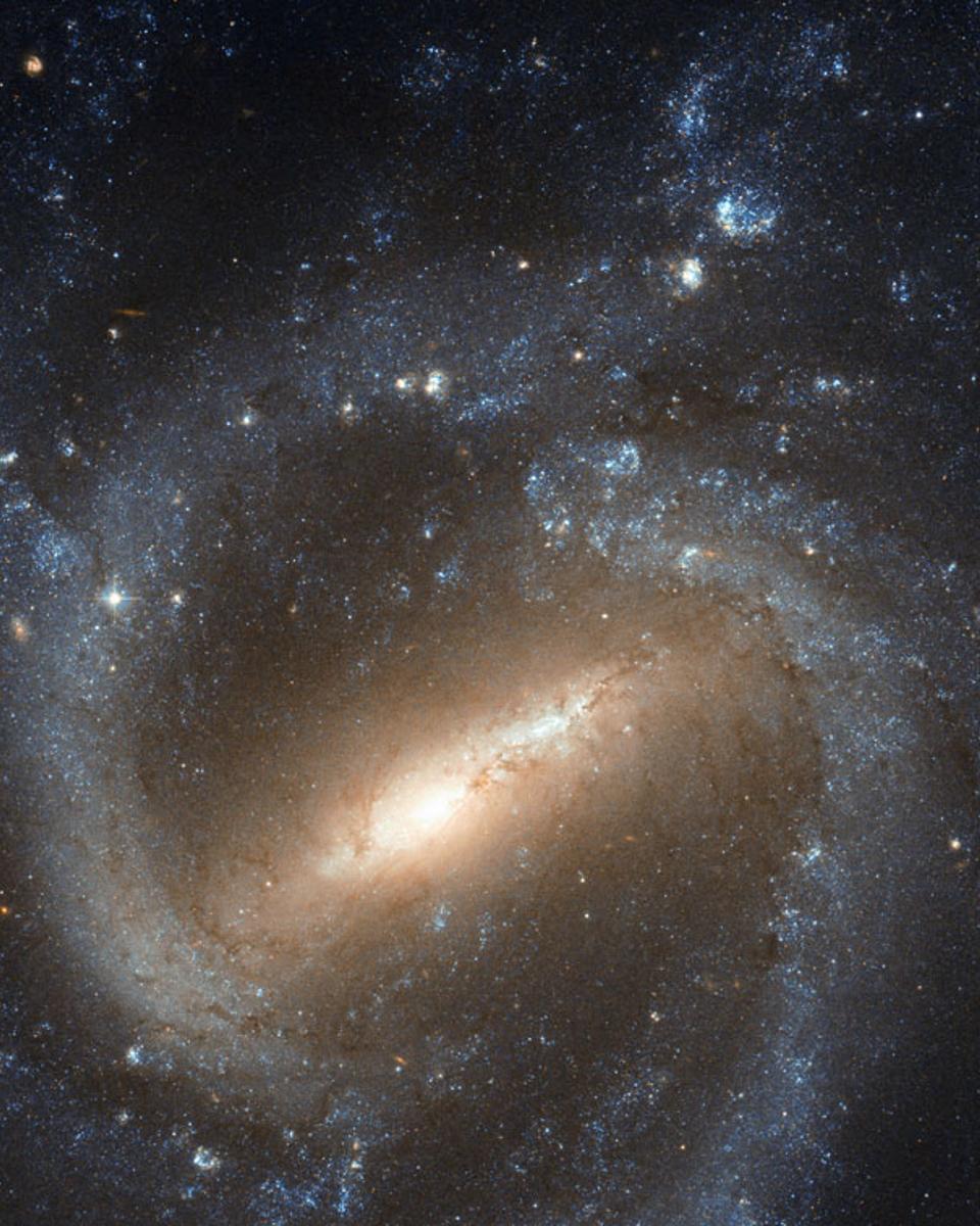 Barred Spiral Galaxy NGC 1073