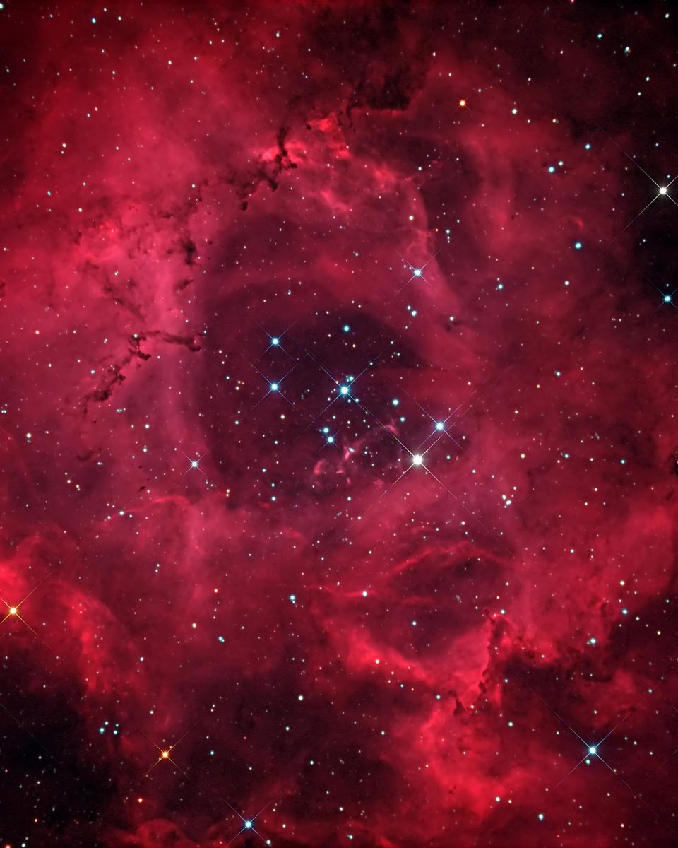 The Rosette Nebula