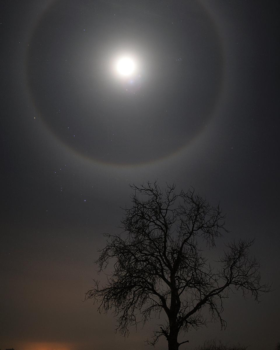 A February Moon's Halo