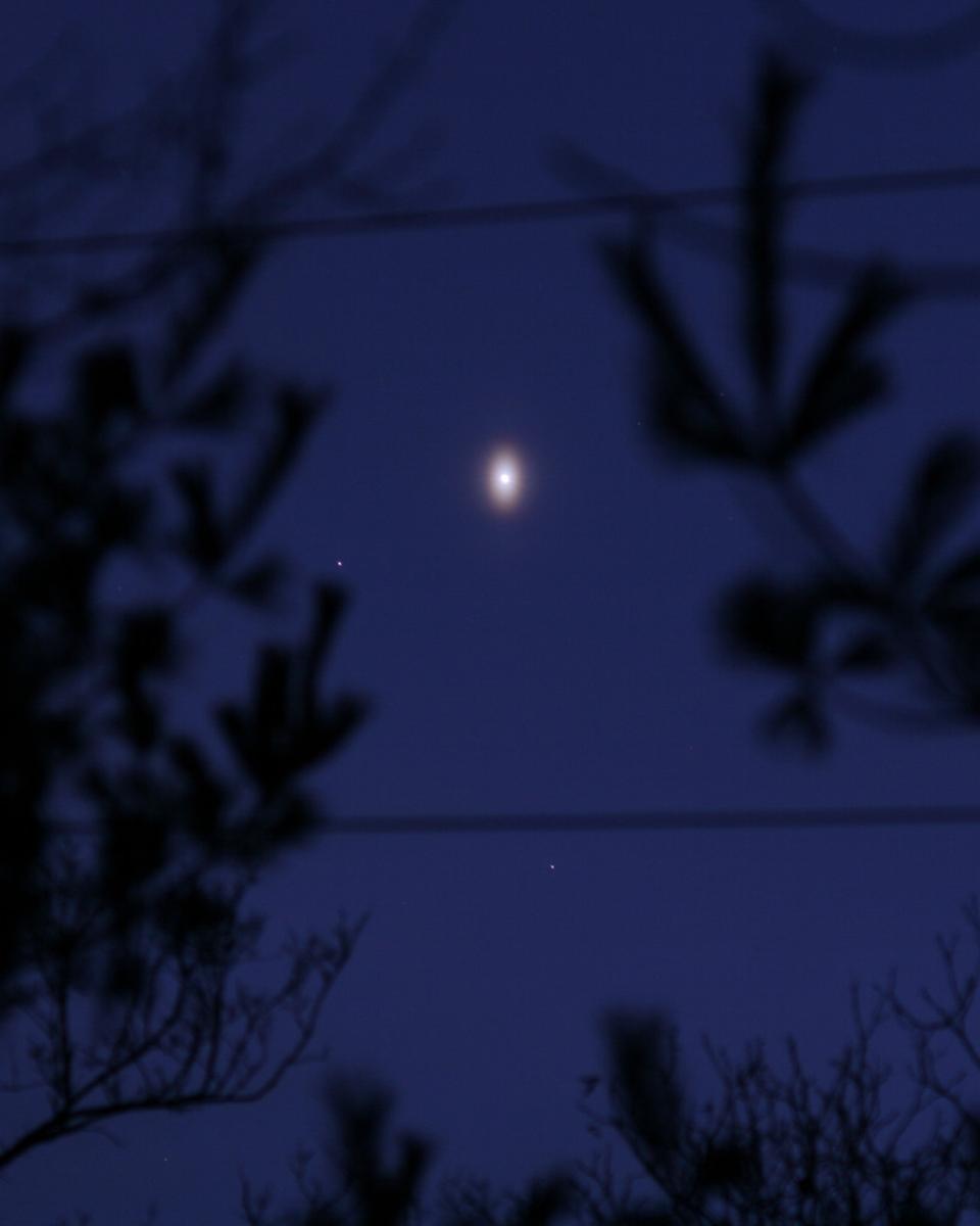 An Unusual Venusian Oval