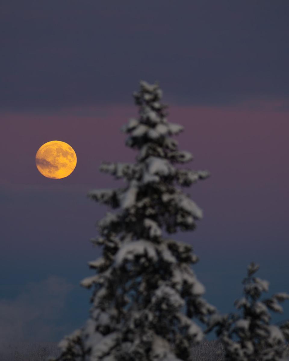 The Wolf's Moon