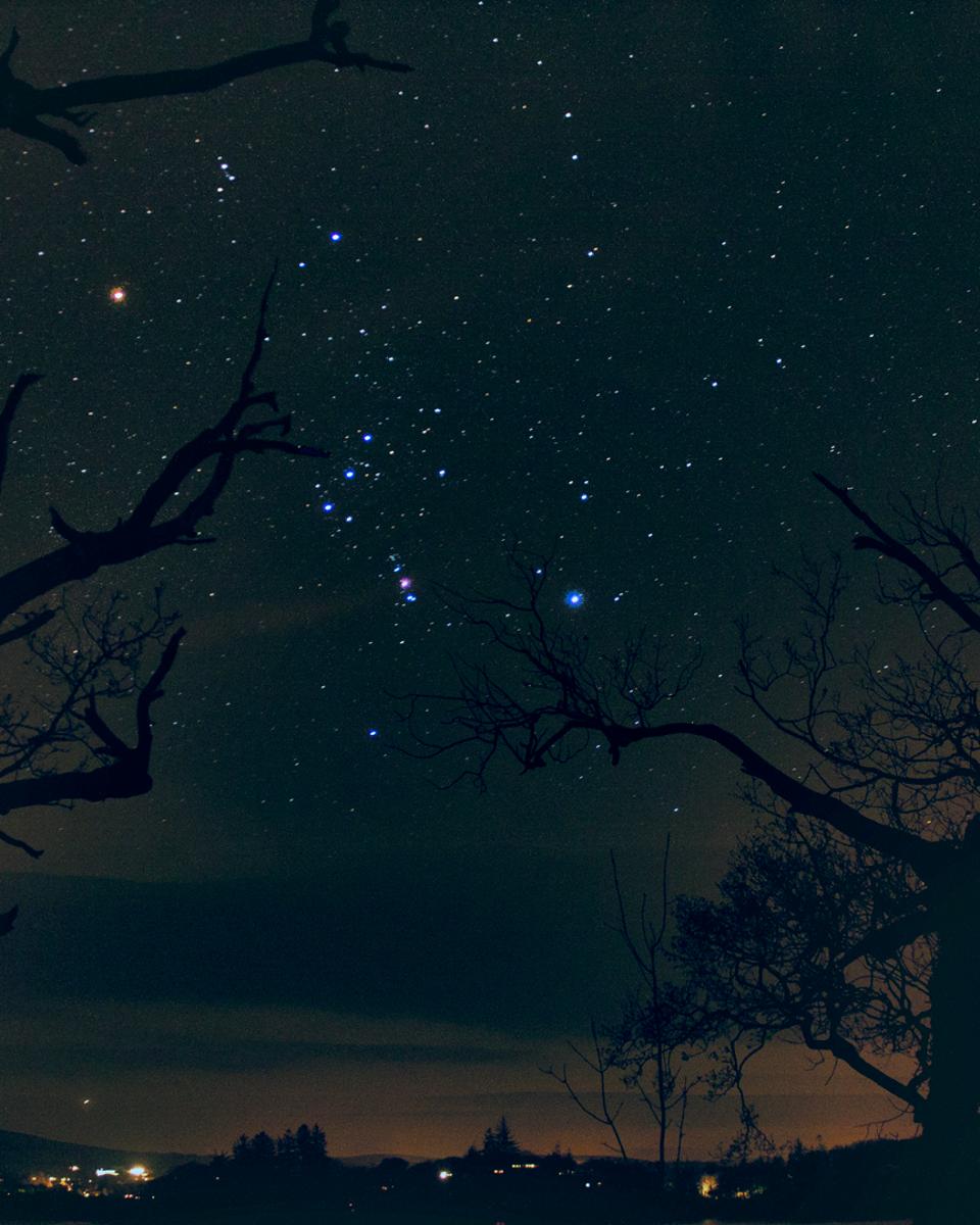 The Hunter's Stars