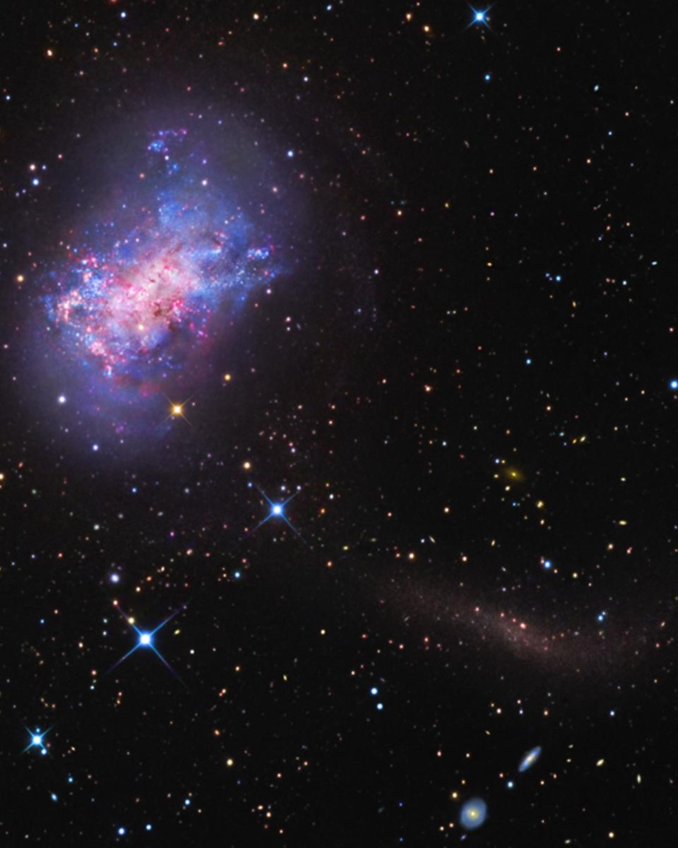 NGC 4449: Star Stream for a Dwarf Galaxy