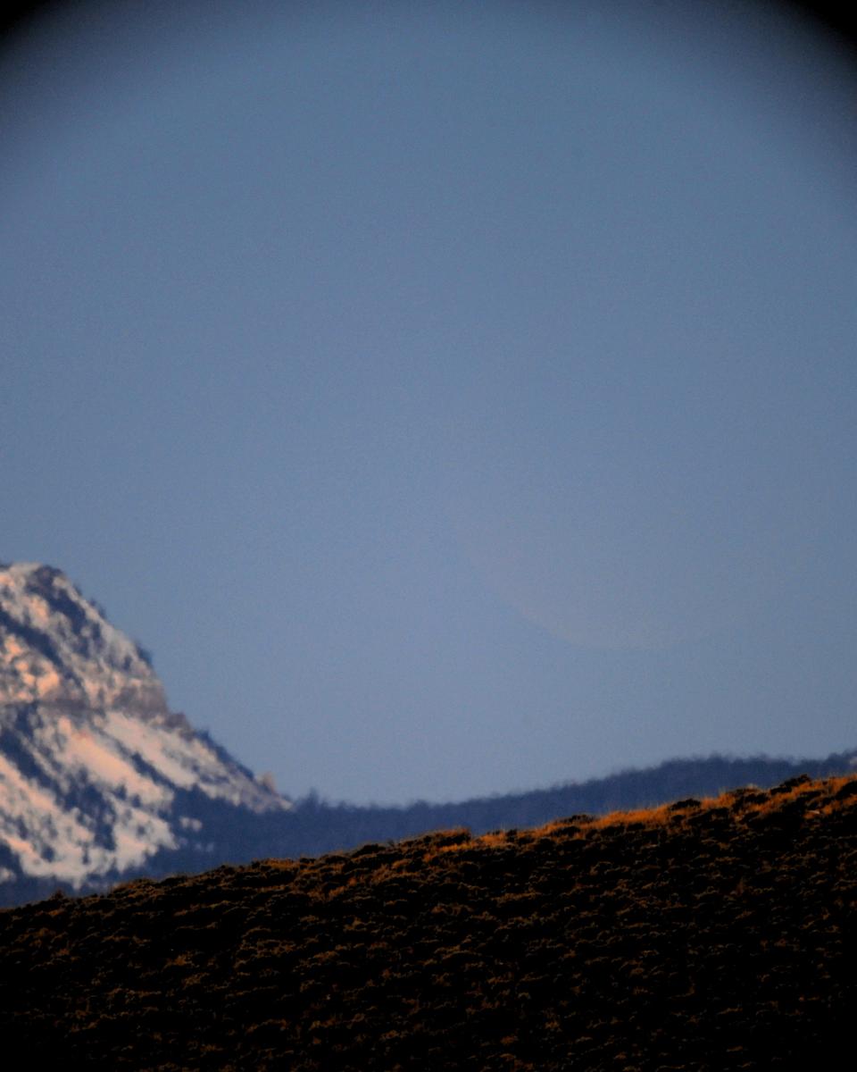 Spot the Moon