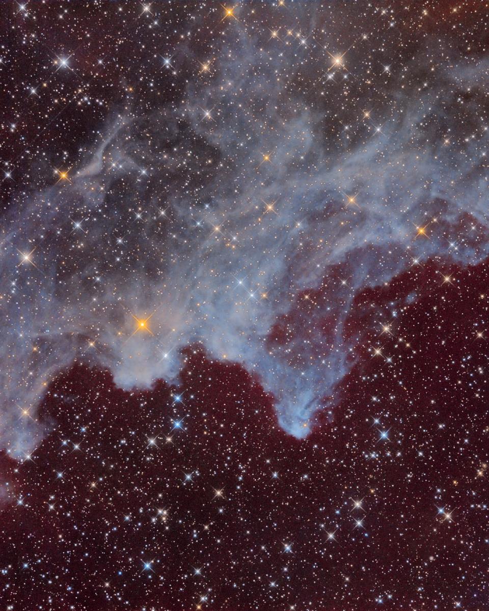 IC 2118: The Witch Head Nebula