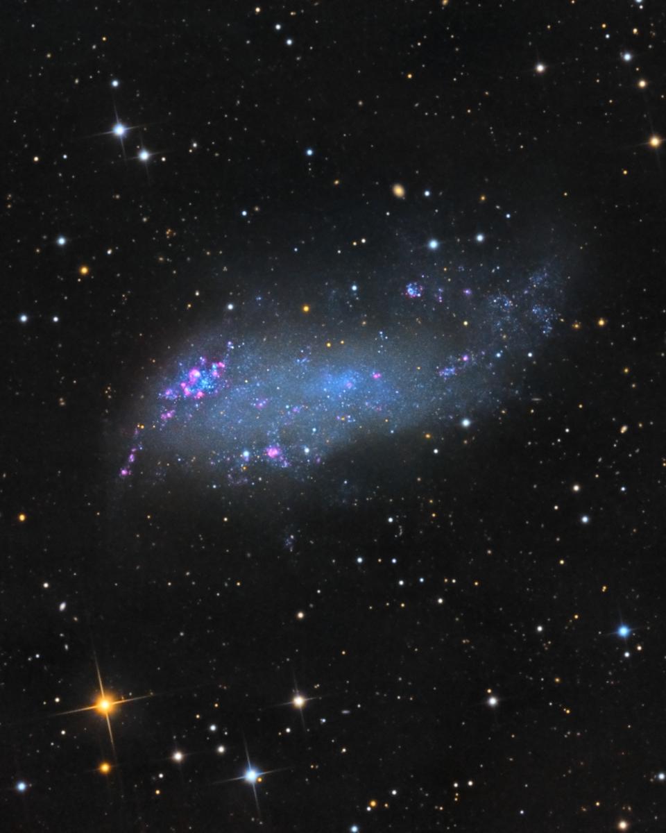 IC 2574: Coddington's Nebula