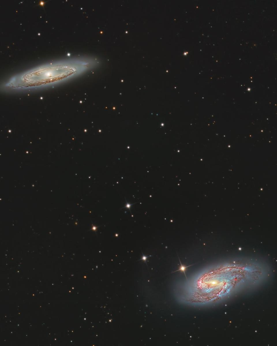 M65 and M66
