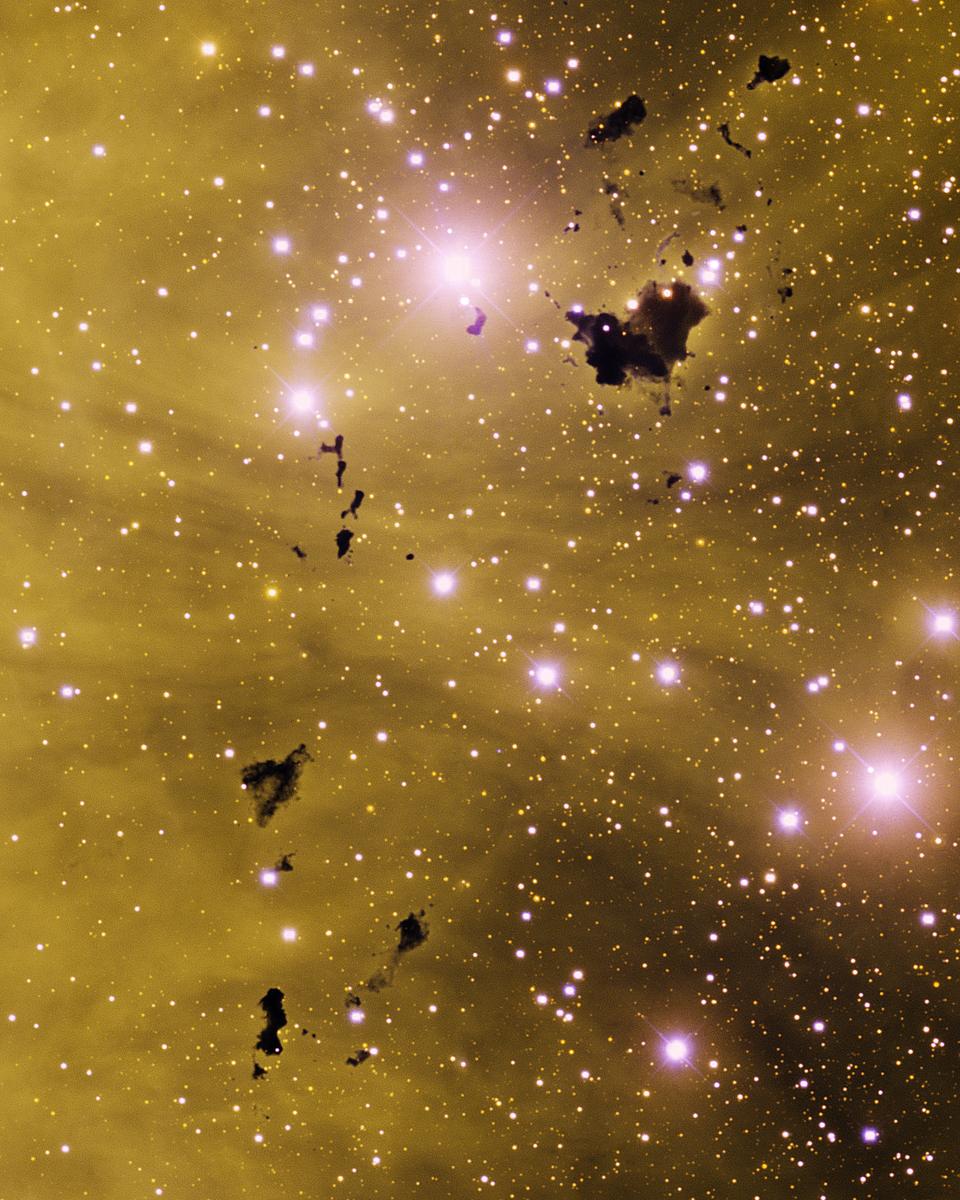 Thackeray's Globules
