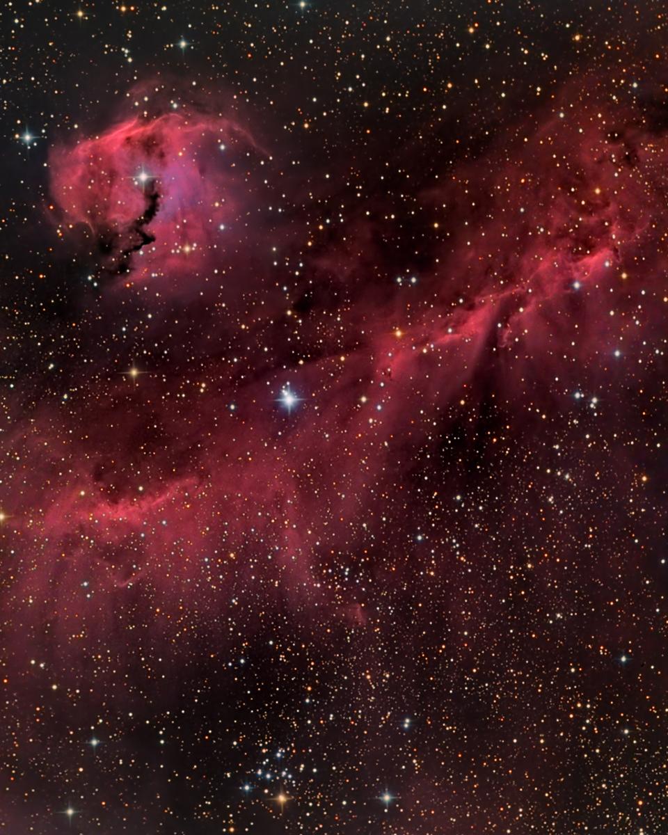 The Seagull Nebula