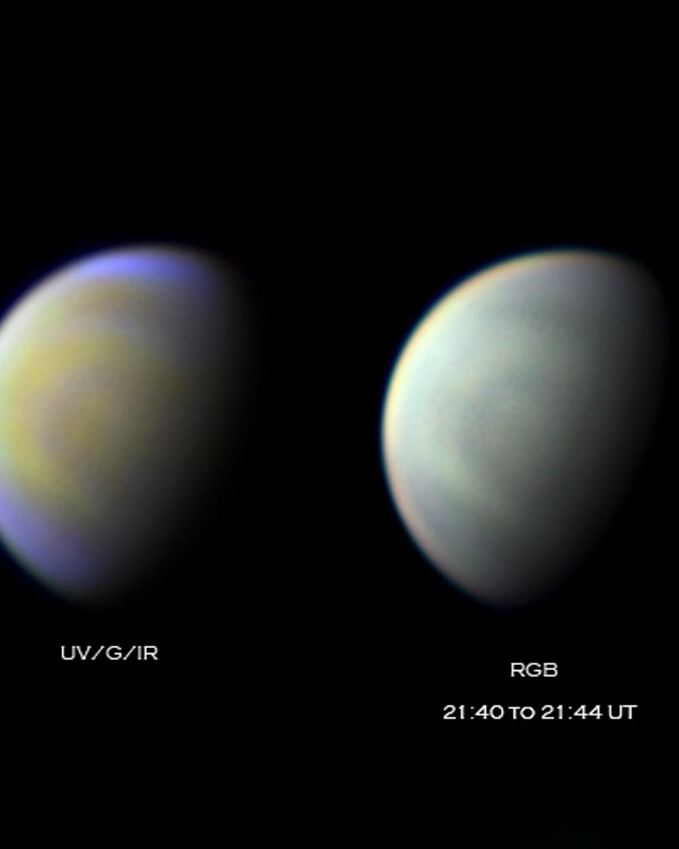 Multicolor Venus