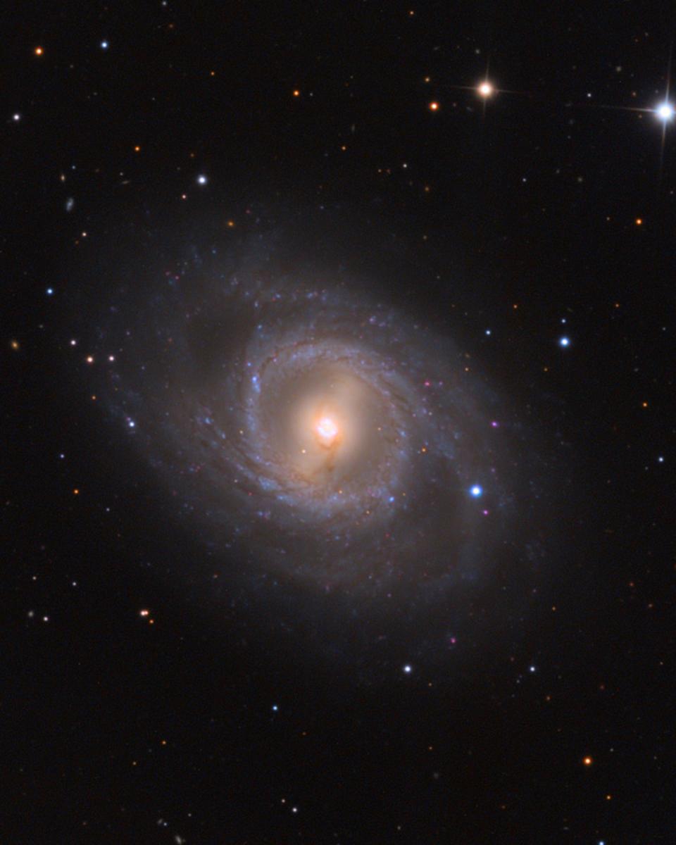 M95 with Supernova