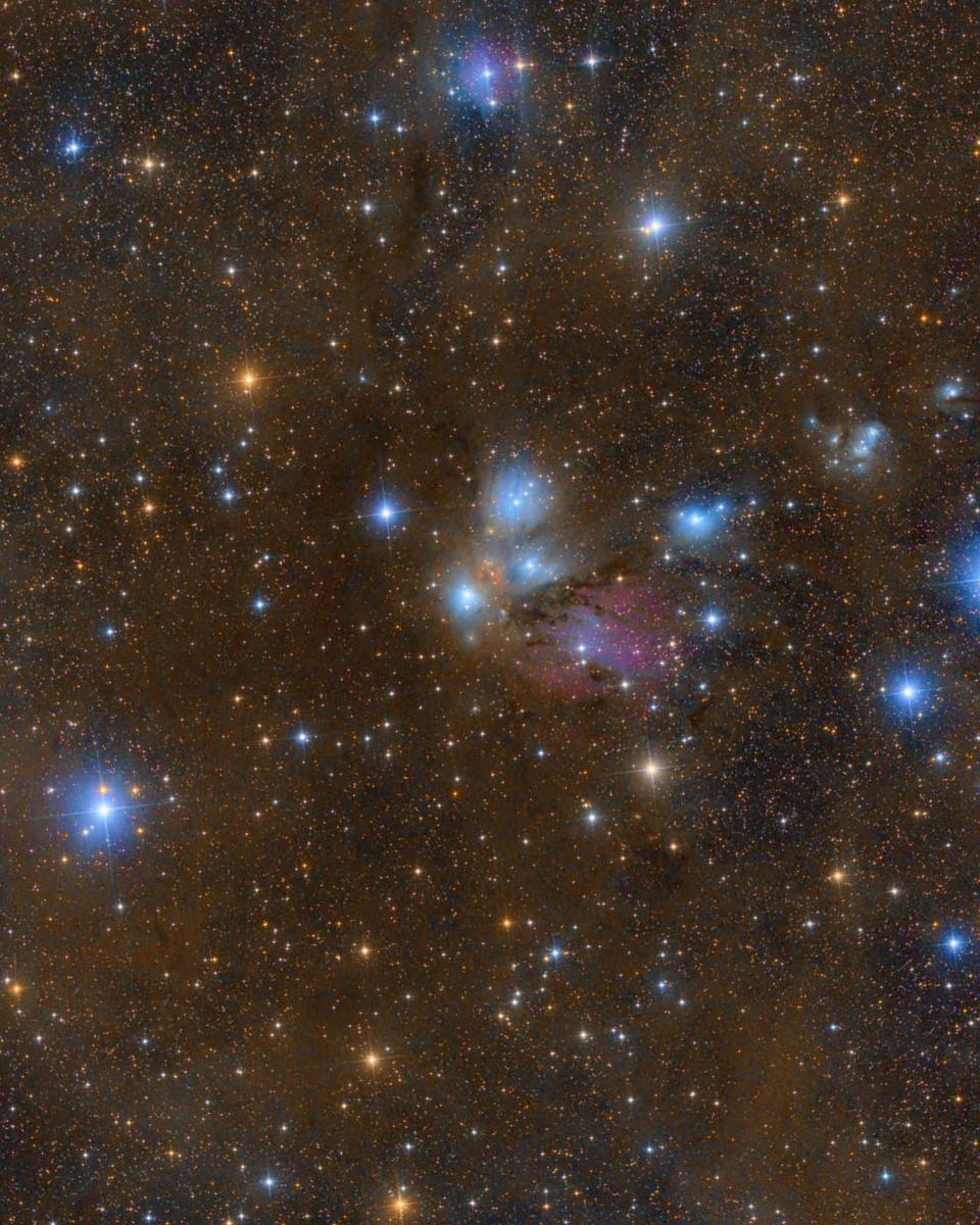 NGC 2170: Celestial Still Life