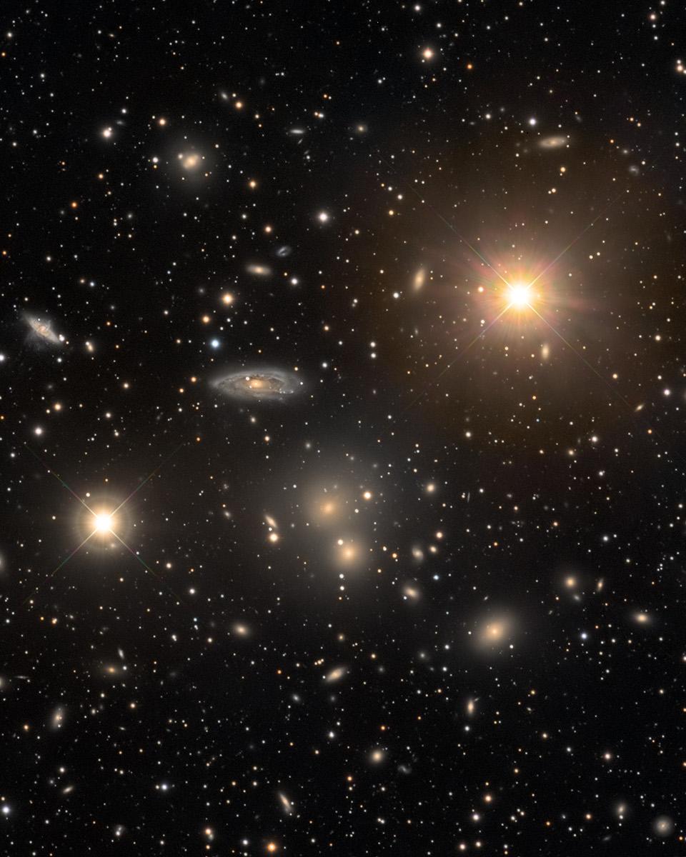The Hydra Cluster of Galaxies