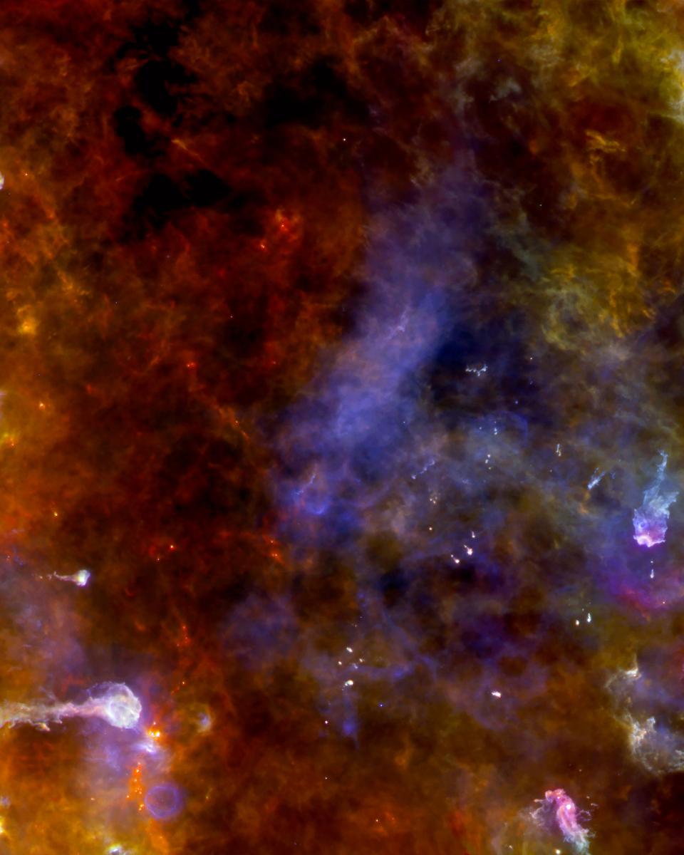 Herschel's Cygnus X