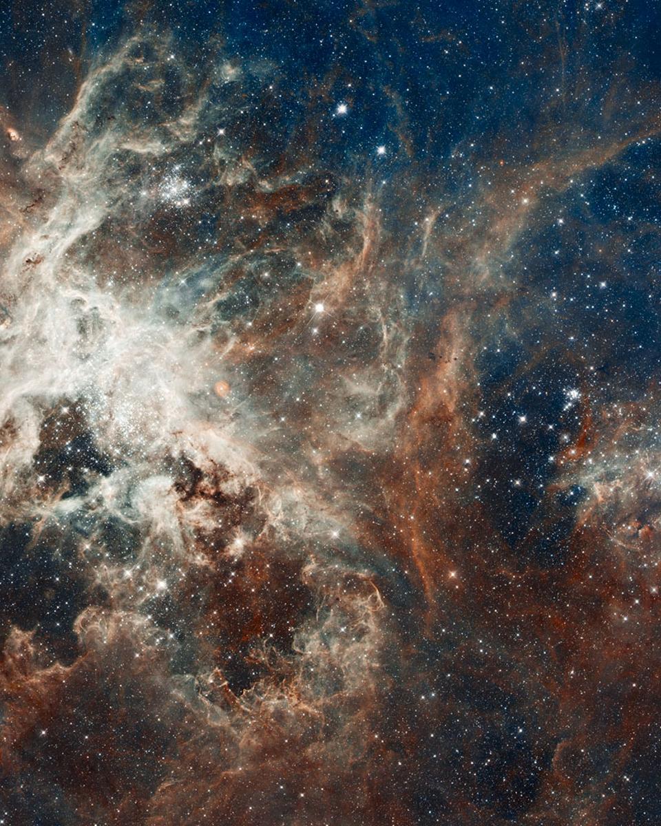 Star Formation in the Tarantula Nebula