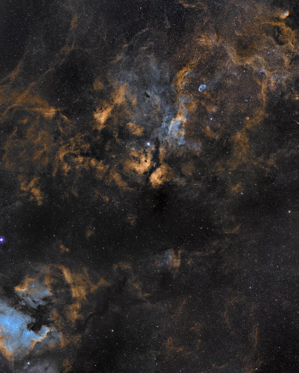 Clouds in Cygnus