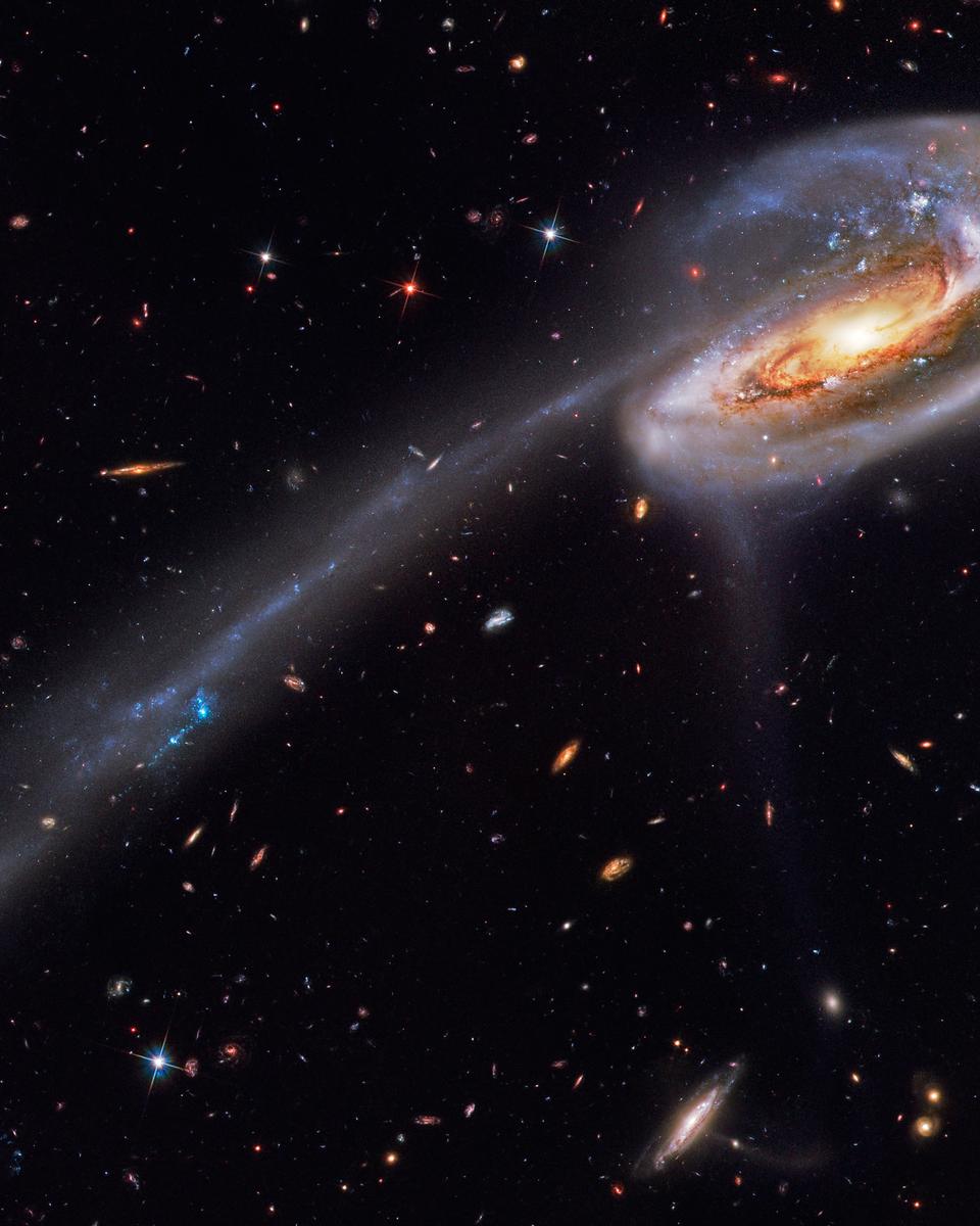 Arp 188 and the Tadpole's Tail