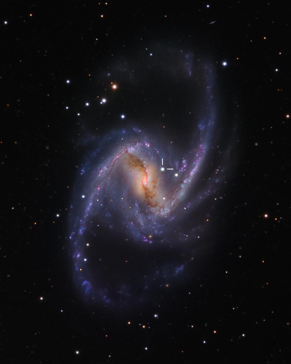 NGC 1365: Majestic Spiral with Supernova