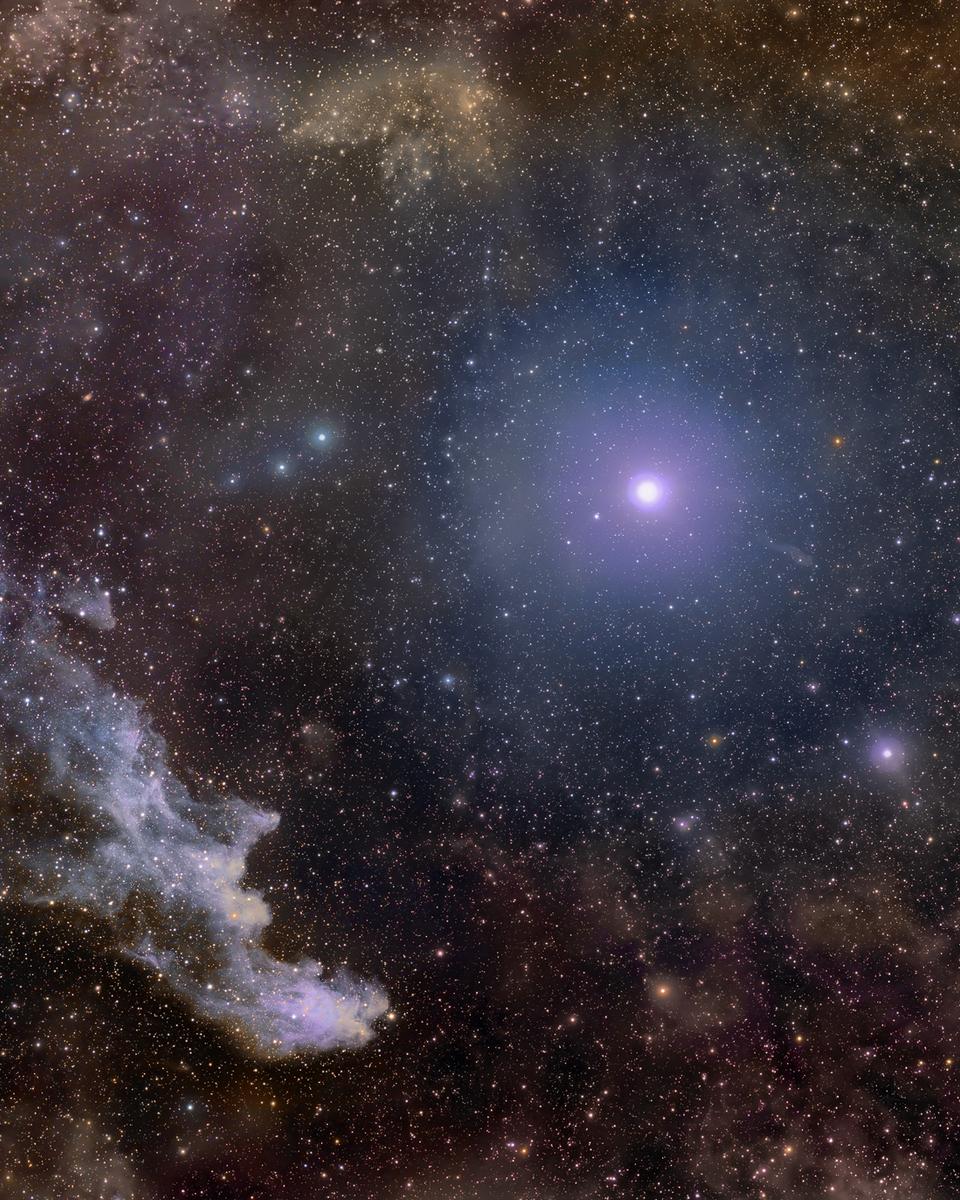 Rigel and the Witch Head Nebula