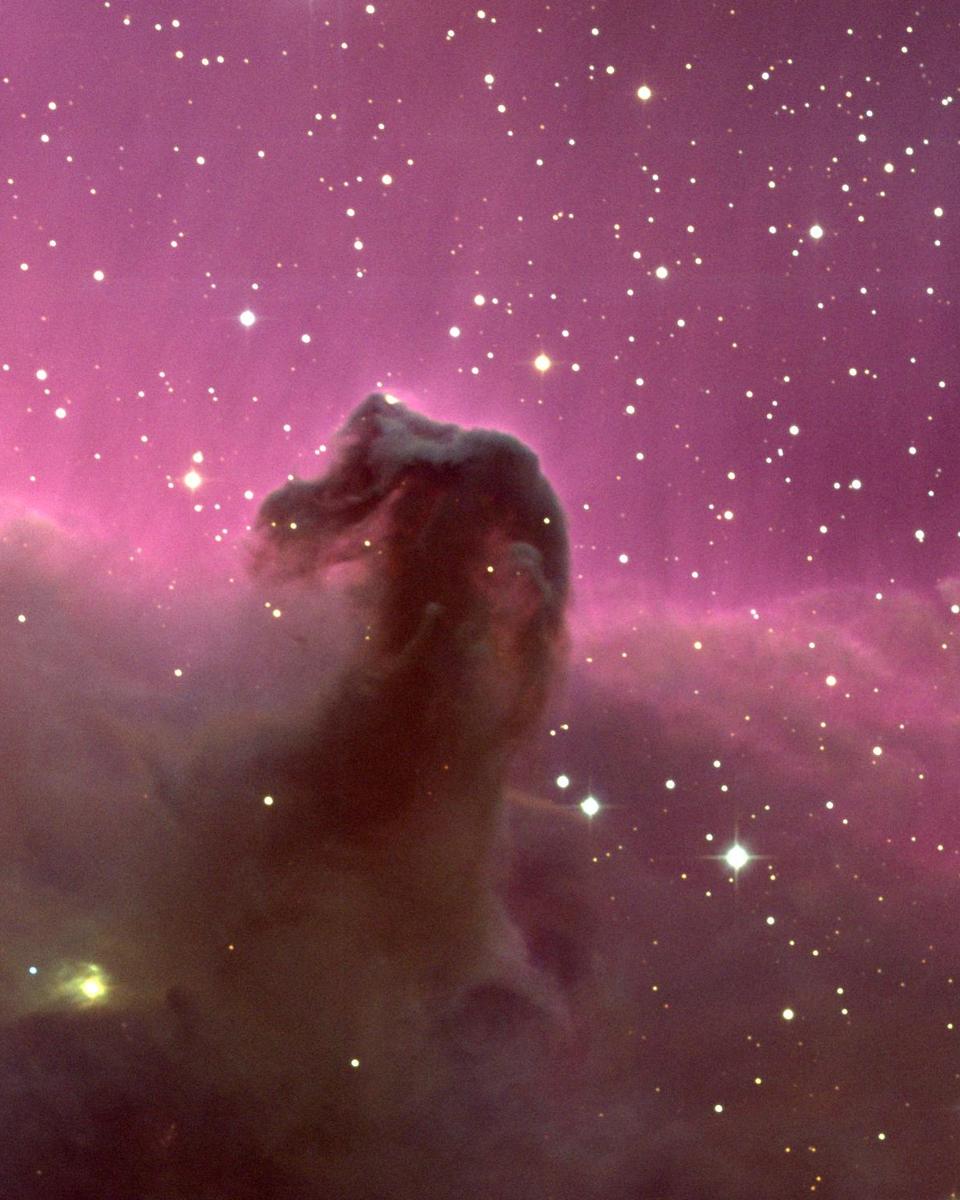 The Horsehead Nebula
