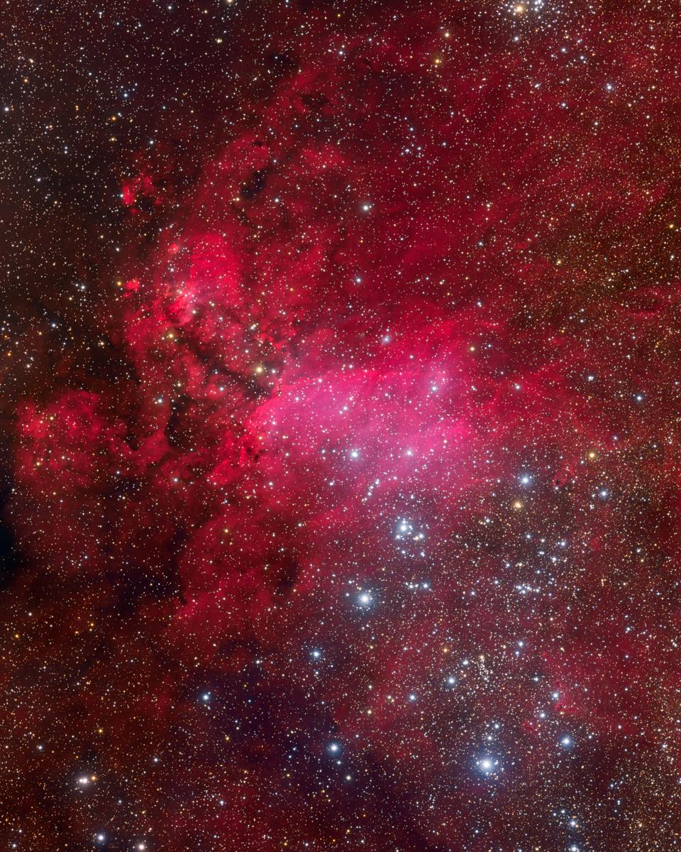 IC 4628: The Prawn Nebula
