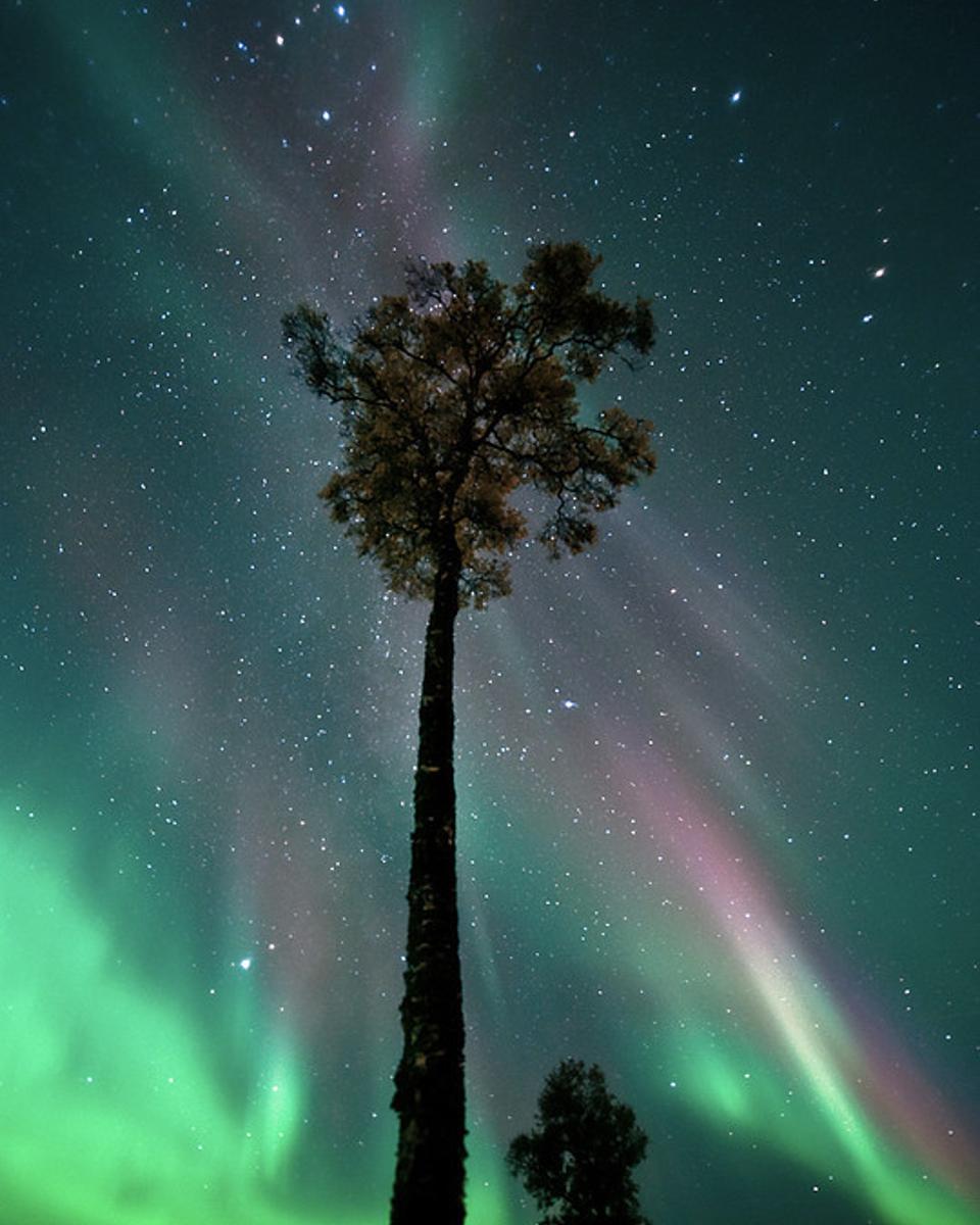 September's Aurora