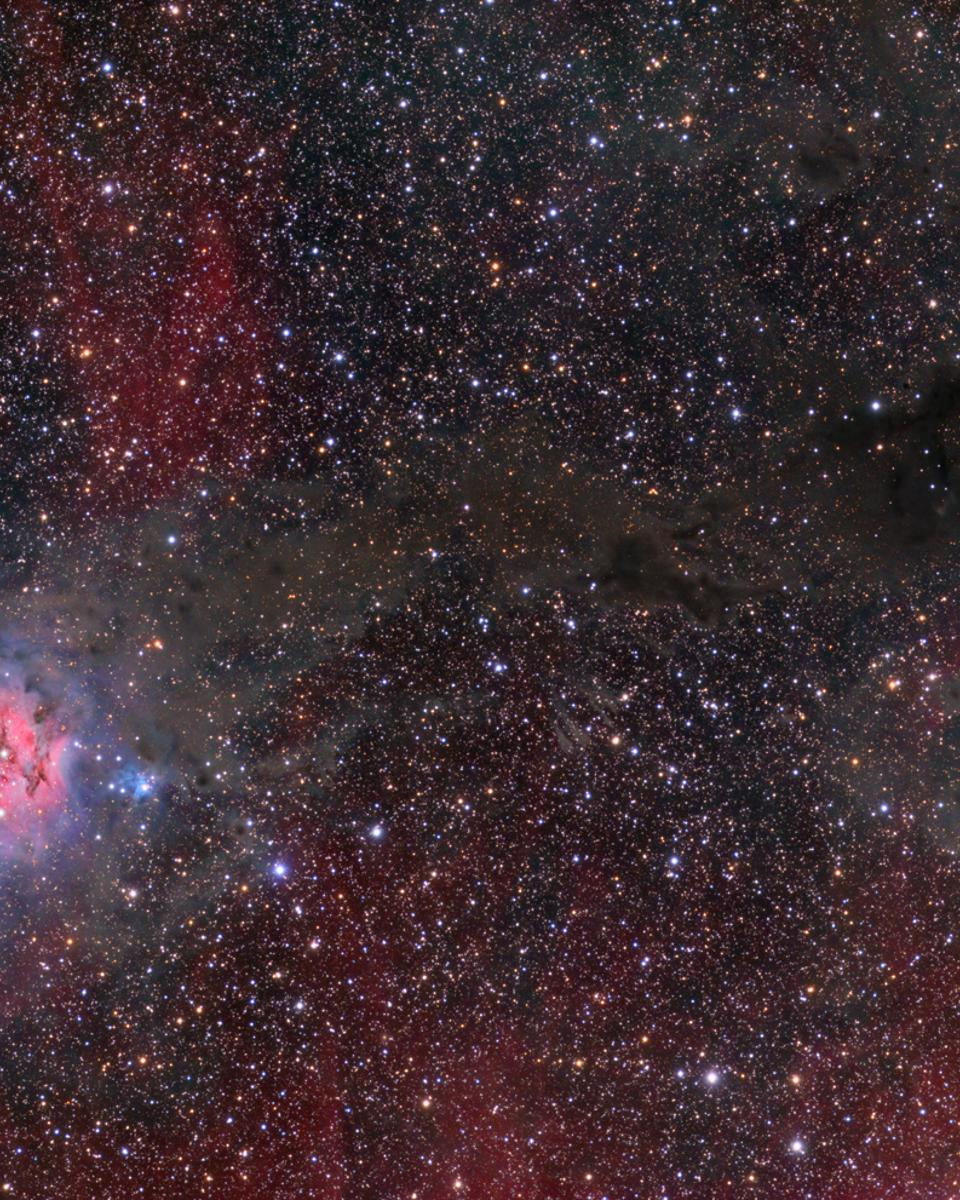 Cocoon Nebula Wide Field
