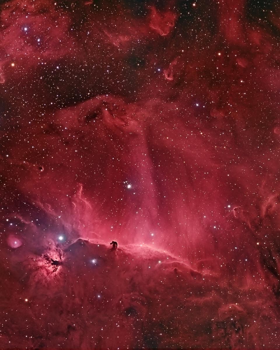 Wisps Surrounding the Horsehead Nebula