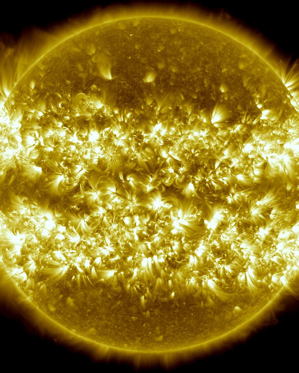 A Year on the Sun