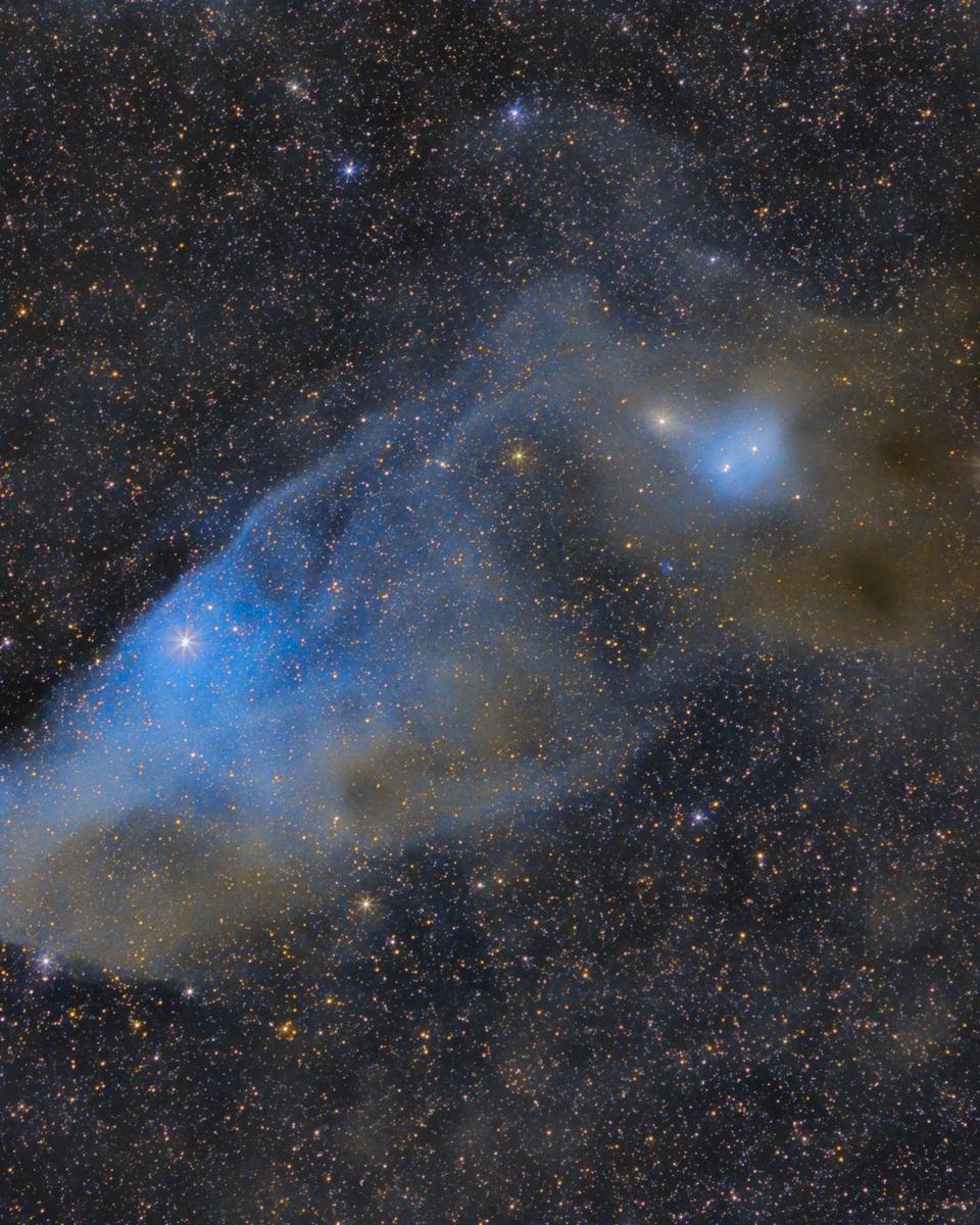 IC 4592: The Blue Horsehead Reflection Nebula