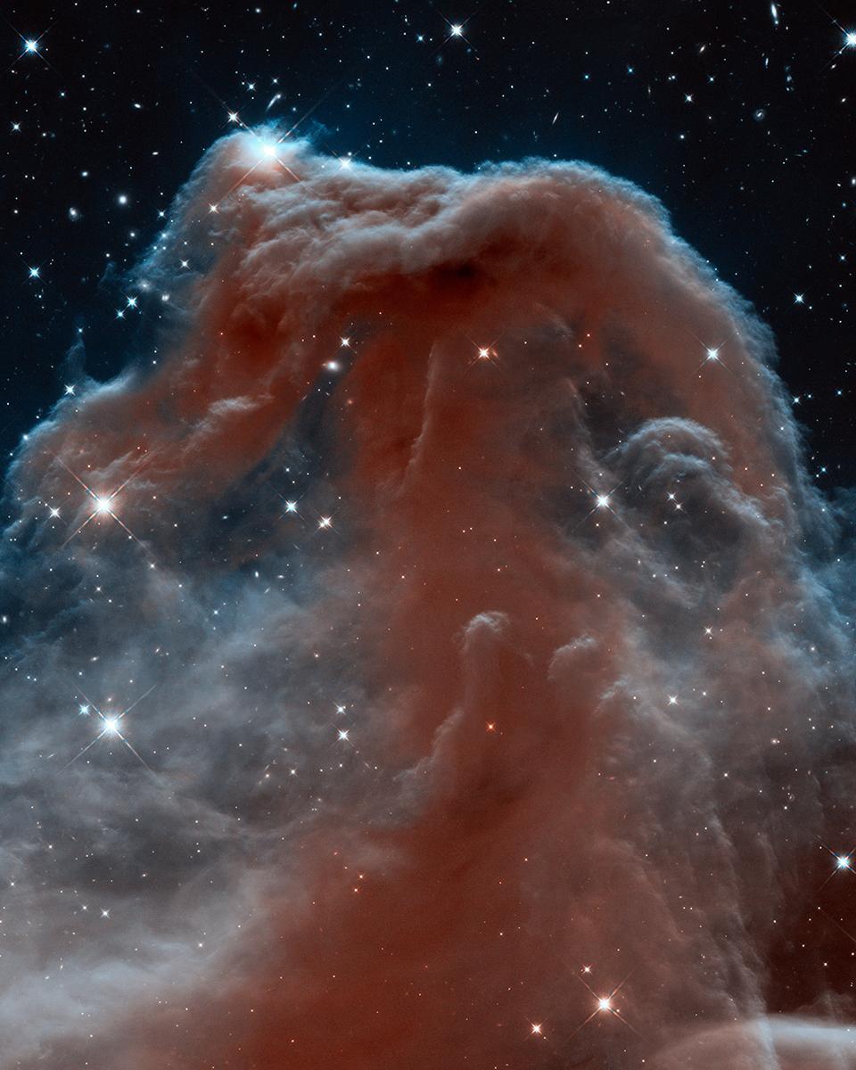 The Horsehead Nebula in Infrared from Hubble