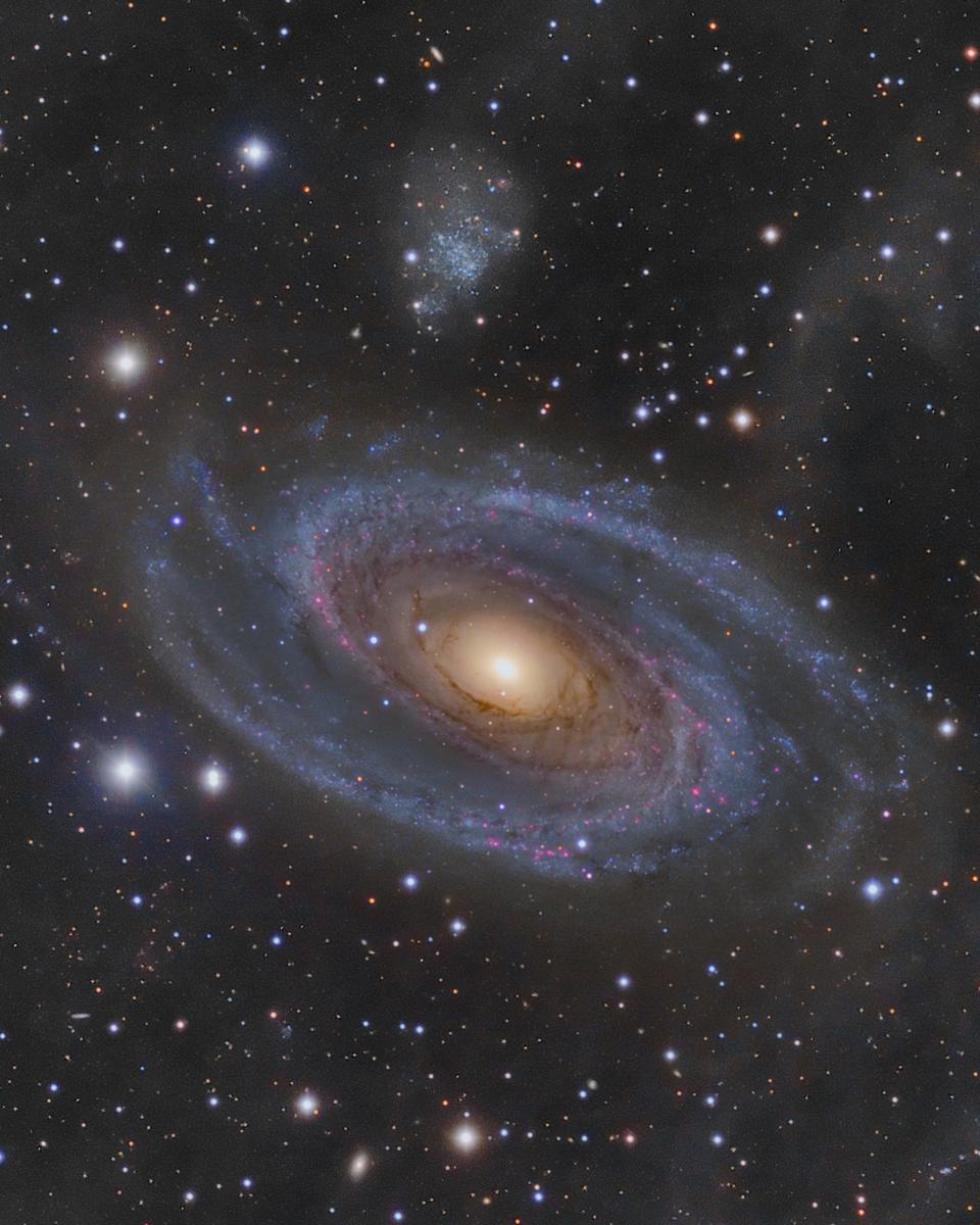Grand Spiral Galaxy M81 and Arp's Loop