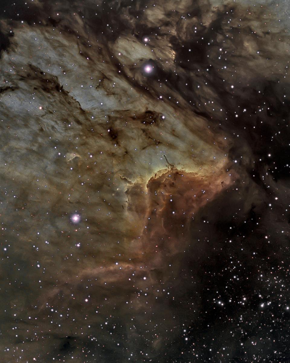IC 5067 in the Pelican Nebula