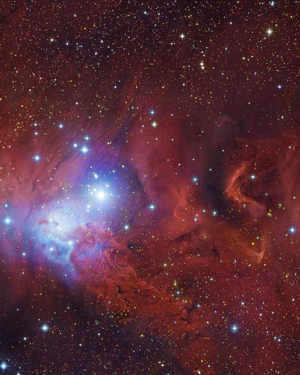 In the Vicinity of the Cone Nebula